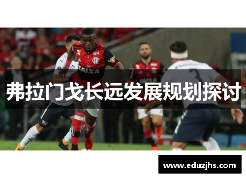 弗拉门戈长远发展规划探讨 弗拉门戈长远发展规划探讨