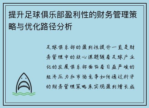 提升足球俱乐部盈利性的财务管理策略与优化路径分析 提升足球俱乐部盈利性的财务管理策略与优化路径分析