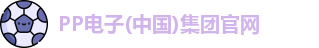 PP电子(中国)集团官网
